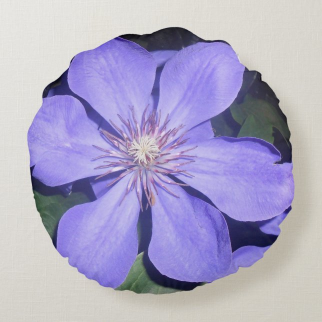 Césarine Rund Kudde (Baksidan)