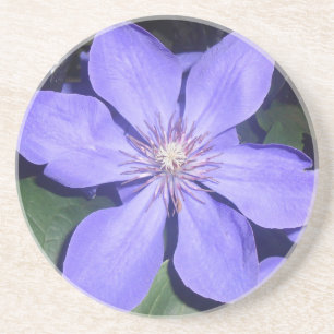 Césarine Underlägg
