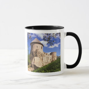 Cesis slott i centrala Lettland. Mugg