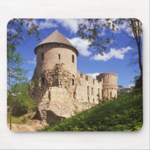 Cesis slott i centrala Lettland. Musmatta