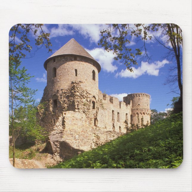 Cesis slott i centrala Lettland. Musmatta (Framsidan)