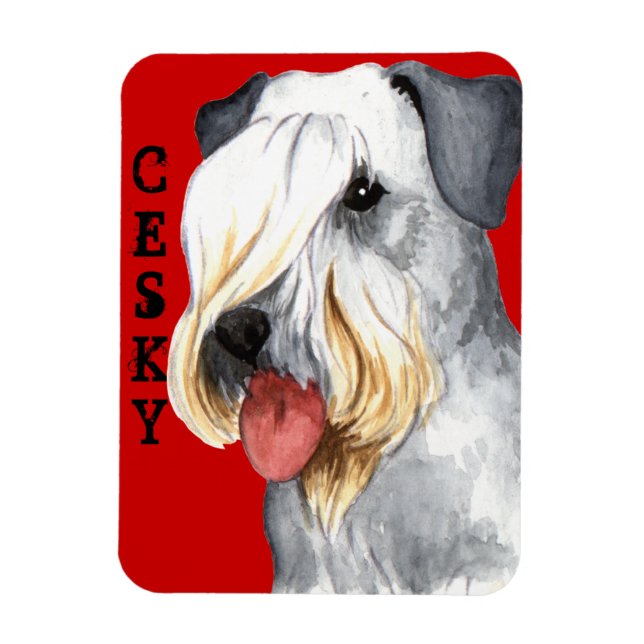Cesky Terrier Färg Block Magnet (Vertikal)