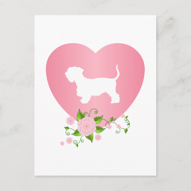 Cesky Terrier Vykort (Framsida)