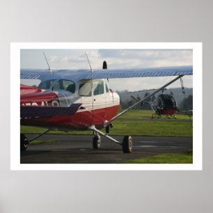 Cessna 172 och Schweizer 300C Poster