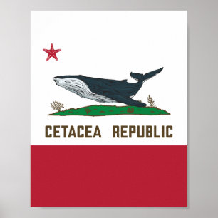 Cetacea Republic Whale Flagga Rorqual Poster