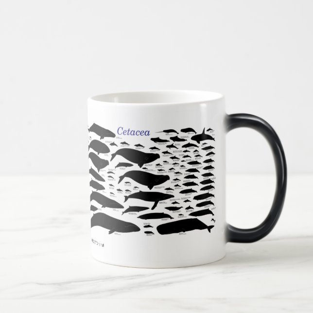 Cetaceans Magisk Mugg (Höger)
