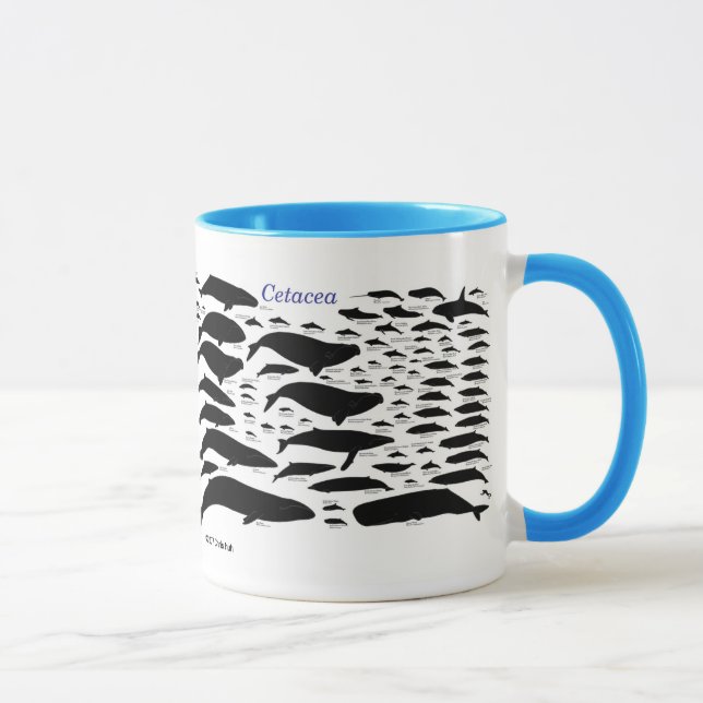 Cetaceans Mugg (Höger)