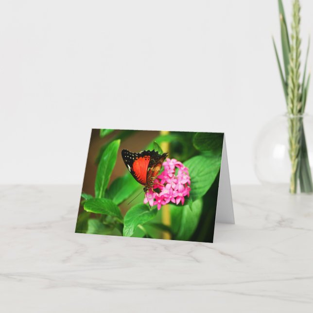 Cethosia-bibliskort Kort (Framsida)