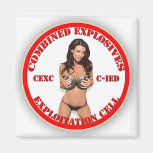 CEXC kombinerad sprängmedelexploateringcell CIED Magnet