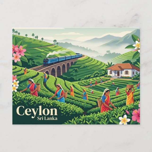 Ceylon Sri Lanka Vykort (Framsida)