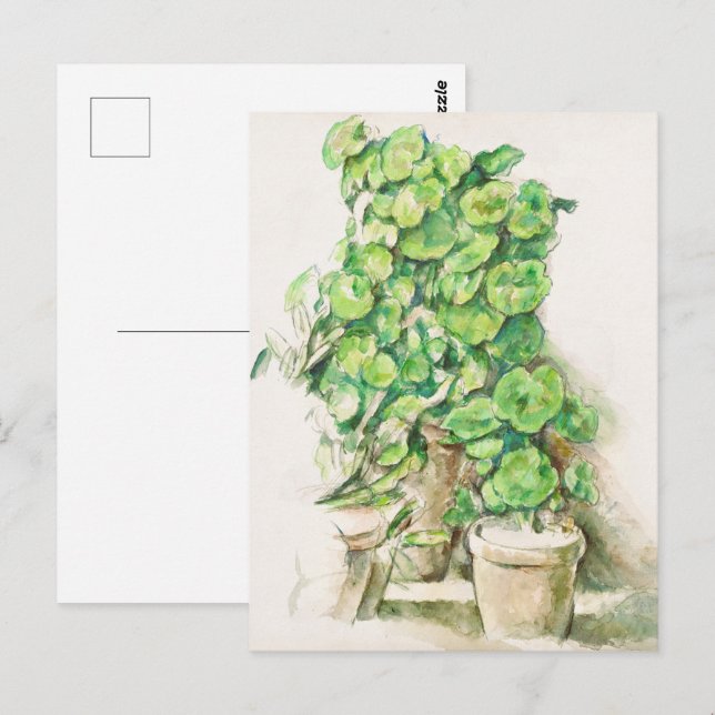Cezanne Geranium Vintage Konsttryck Botanisk Konst Vykort (Fram/baksida)