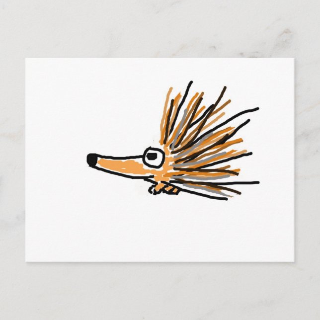 CF-Funky Porcupin Vykort (Framsida)