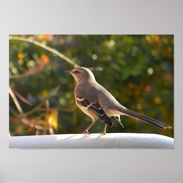 CG- Poster mockingbird (Framsidan)