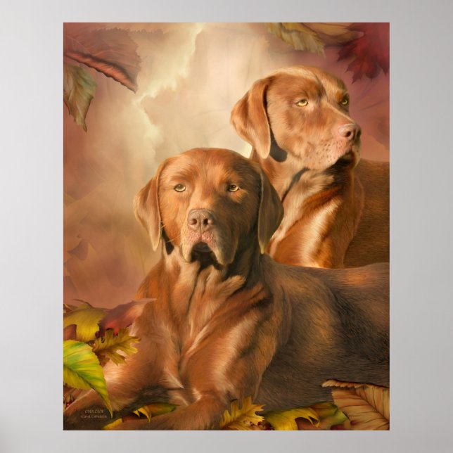 Cha Cha - Chocolate Lab Art Poster/skriver ut Poster (Framsidan)