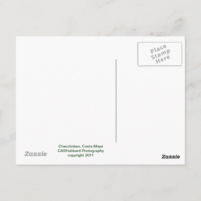 Chacchoban Pyramid Vykort (Baksida)