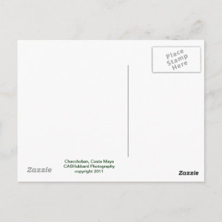 Chacchoban Pyramid Vykort