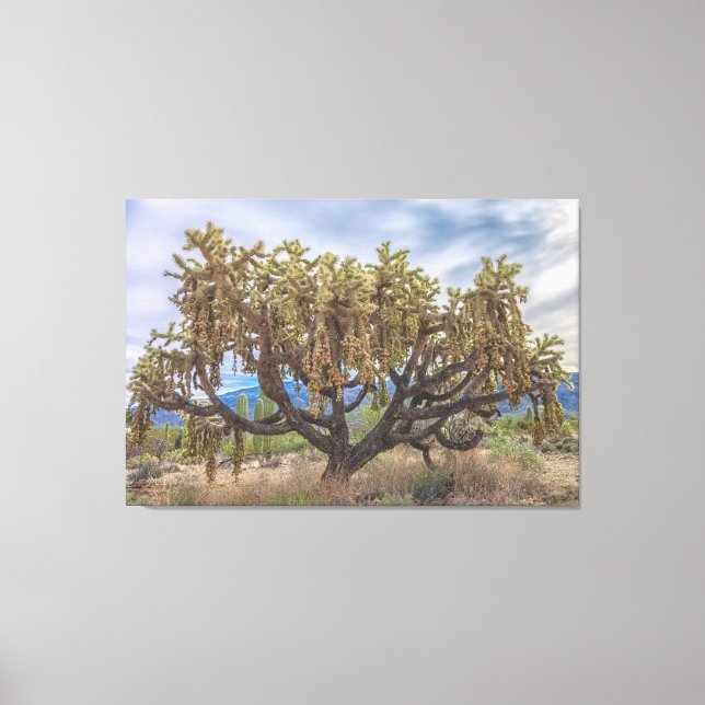 Chached-Fruit Cholla Canvastryck (Framsida)
