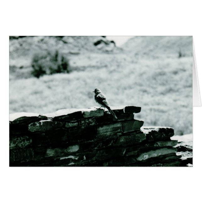Chaco Bird Card Hälsningskort (Framsidan Horizontal)