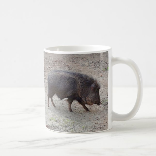 Chacoan Peccary #2 Mugg (Höger)