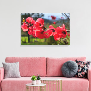 Chaenomeles speciosa canvastryck