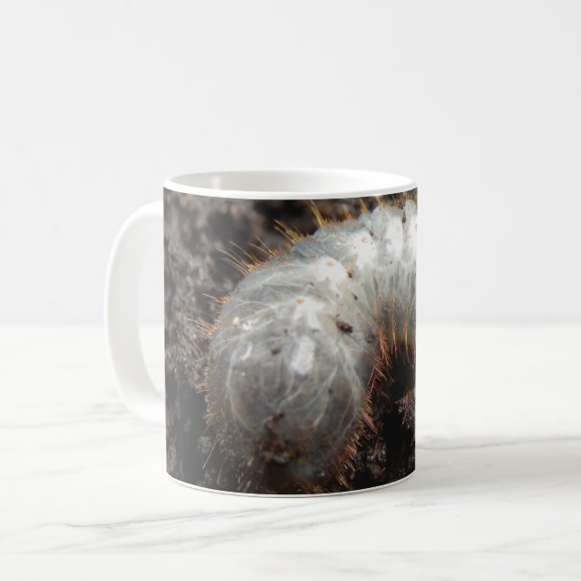Chafer Larva Kryp Mugg (Framsida vänster)