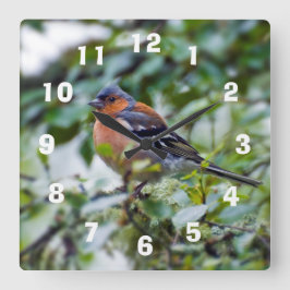 Chaffinch Acrylic wall klocka