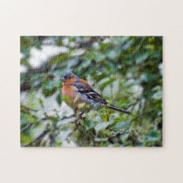 Chaffinch Jigszawa puzzle Pussel