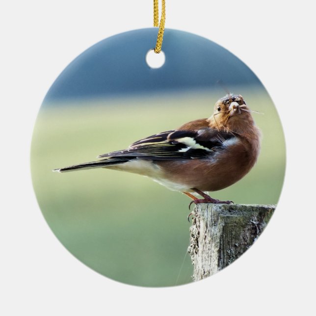 CHAFFINCH JULGRANSPRYDNAD KERAMIK (Framsidan)