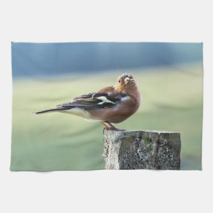 CHAFFINCH KÖKSHANDDUK