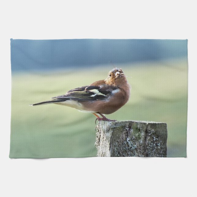 CHAFFINCH KÖKSHANDDUK (Horisontell)