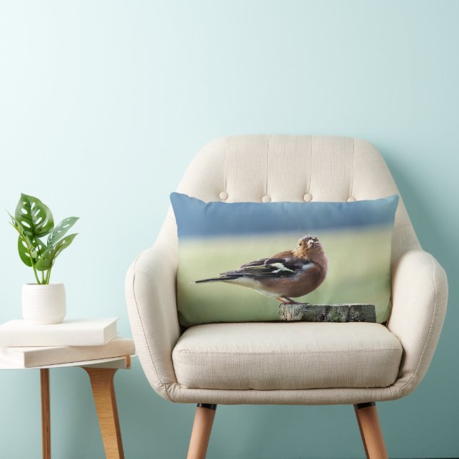 CHAFFINCH LUMBARKUDDE (Stol)