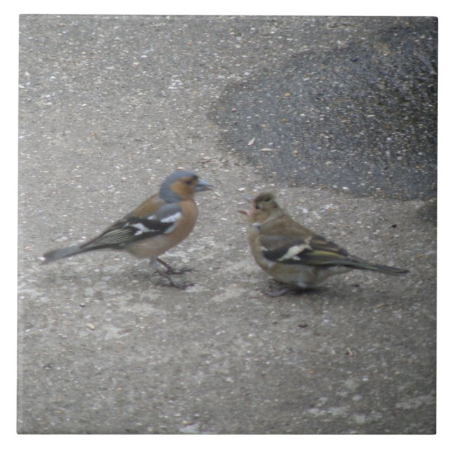 Chaffinch Mata mig Tile Kakelplatta (Framsidan)