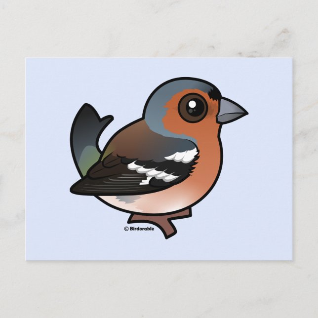 Chaffinch Vykort (Framsida)