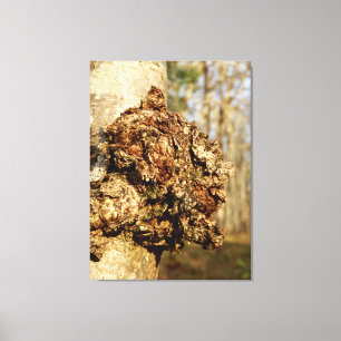 Chaga Mushroom Kanvastryck