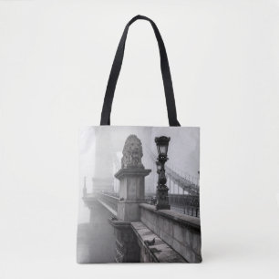 CHAIN BRIDGE, BUDAPEST TYGKASSE