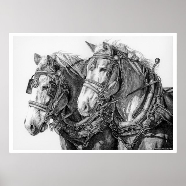 Chained to the World Draft Horses Drawing Poster (Framsidan)