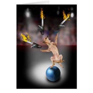 Chainsaw som jonglerar chihuahuaen hälsningskort