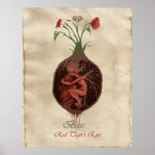 CHAKRA FAE - BASERA POSTER