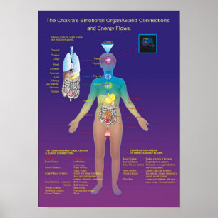 Chakra Organ/Gland och energiflöde Poster