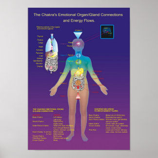 Chakra Organ/Gland och energiflöde Poster