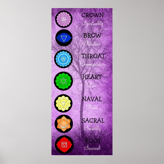 Chakras Centers Chart Chi Energy Poster (Framsidan)