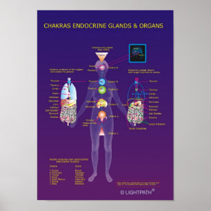 Chakras Endocrinekörtlar och organ Poster