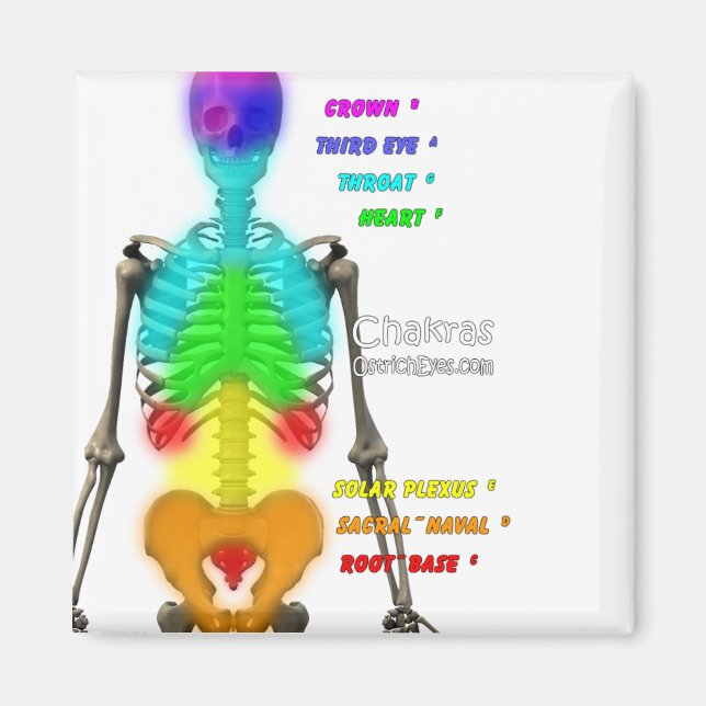 Chakras Skeleton Magnet (Framsidan)