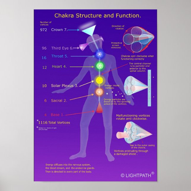 Chakras struktur och funktion poster (Framsidan)
