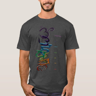 CHAKRAS T SHIRT