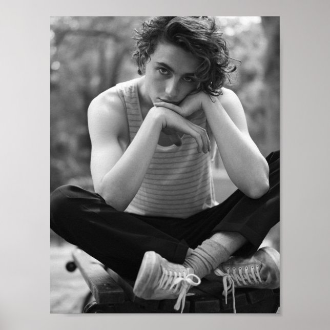 chalamet poster (Framsidan)