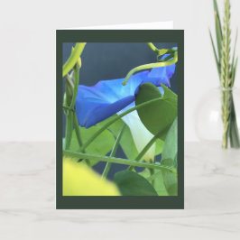 Chalice-of-Blue Morning Glory Blank Kort