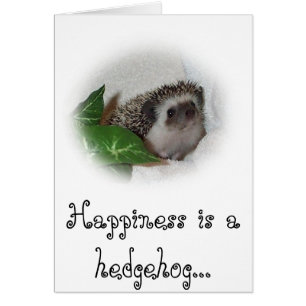Chalice the Hedgehog Hälsningskort
