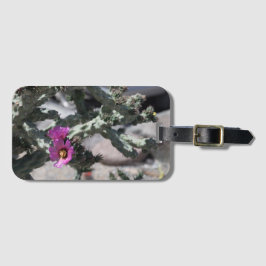 Challa Cactus in bloom Bagagebricka