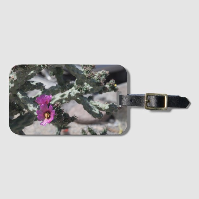 Challa Cactus in bloom Bagagebricka (Framsida horisontal)